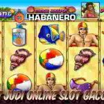 Situs Game Online Slot Terbaik Bikini Island